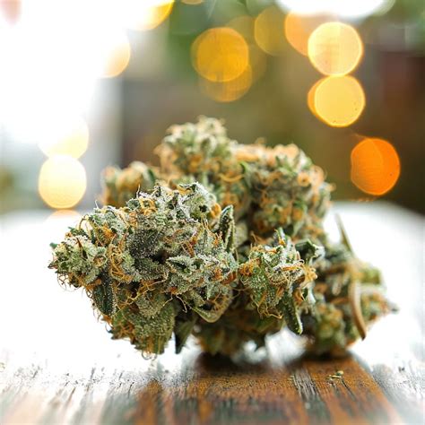 don mega strain|Iba pa.